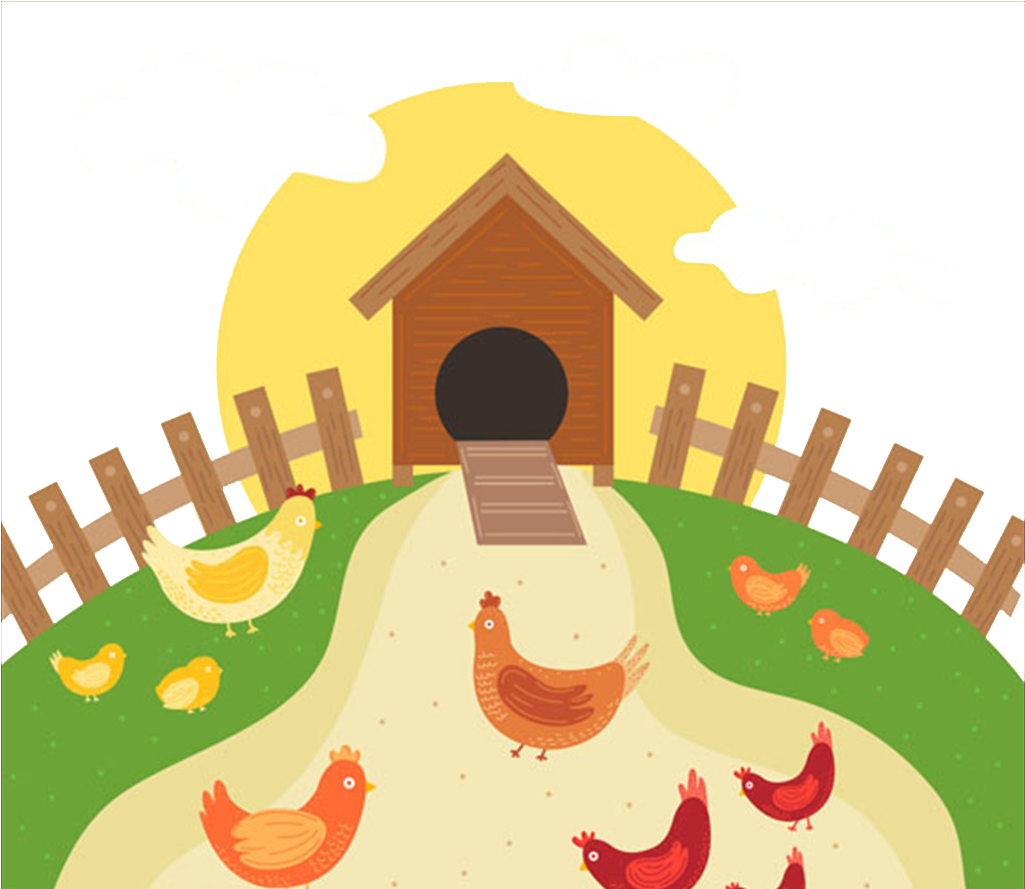 Chicken Coop Poultry Farming Egg - Farm Chicken Cartoon (1024x1024)