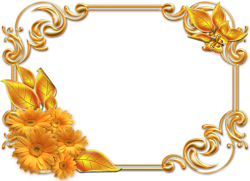 Invitation Frame Png (800x580)