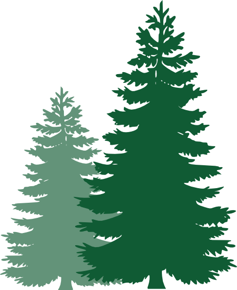 Pine Tree Clipart - Pine Tree Clipart Black And White (486x595)