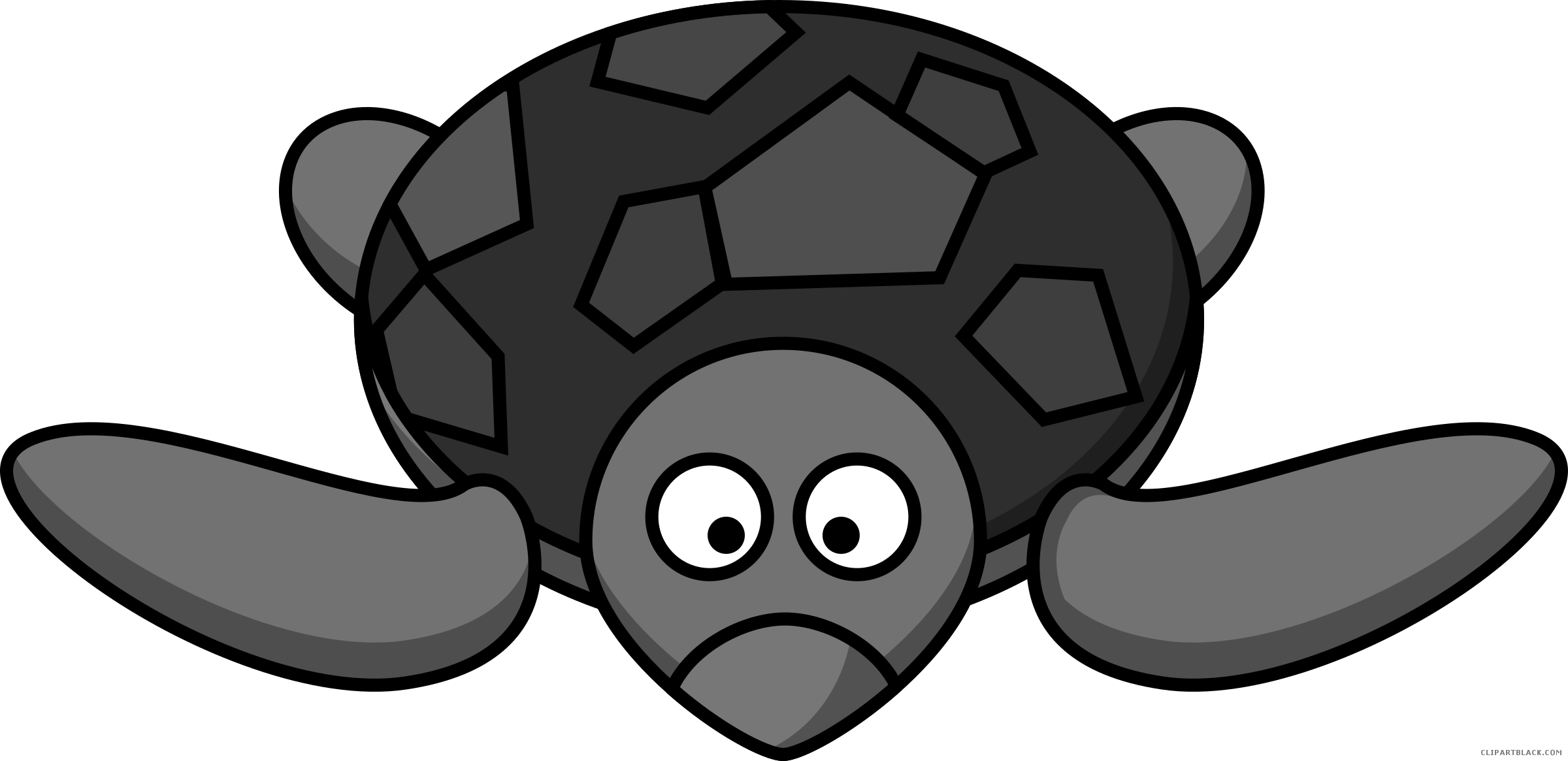 Cartoon Turtle Animal Free Black White Clipart Images - Green Sea Turtle Drawing (2400x1165)