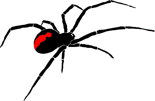 Related Red Back Spider Clipart - Red Back Spider Clipart (500x325)