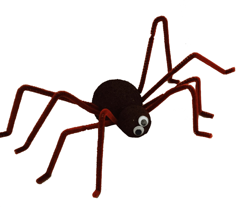 Spider Bulletin Board2 - Spider (838x721)