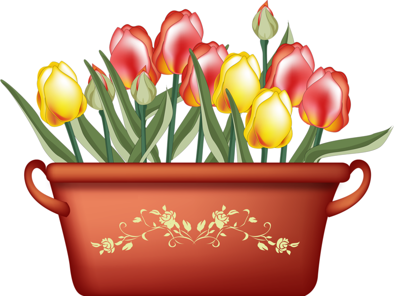 Picture 4 - - Happy Birthday (800x602)