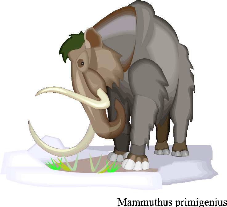 Wooly Mammoth - Little Brother Wooly Mammoth Rectangle Magnet (750x691)