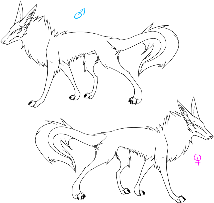 Wolf Pack Base By Destinys Heart On Deviantart - Wolf Base Male And Female.