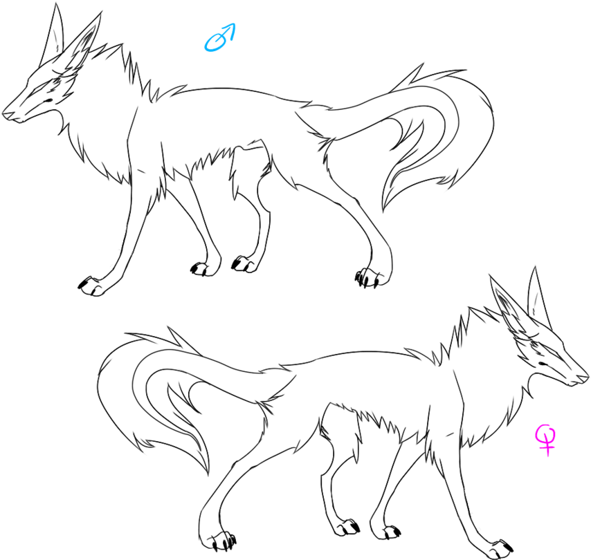 Wolf Pack Base By Destinys Heart On Deviantart - Wolf Base Male And Female (894x894)