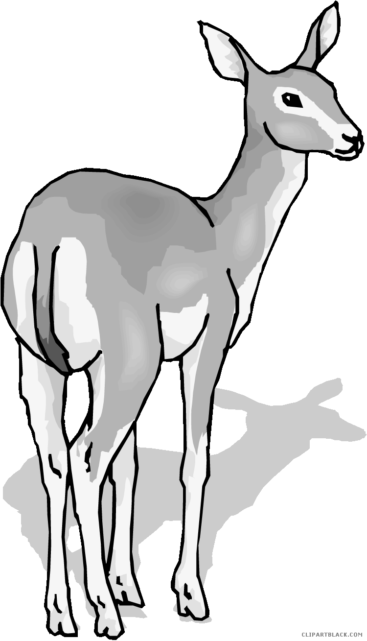 Deer Animal Free Black White Clipart Images Clipartblack - Clip Art (750x1309)