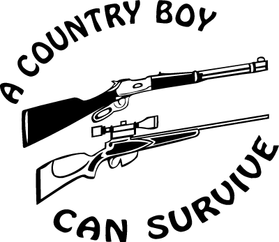 A Country Boy Can Survive - Country Boy Can Survive (400x347)