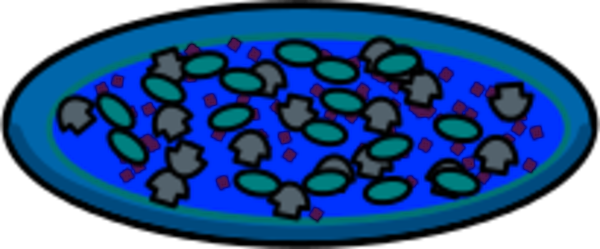 Rejon Pizza Clipart - Circle (600x249)