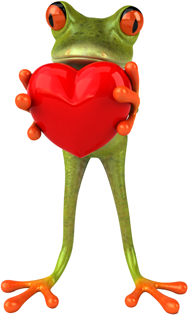 3 D Frog - Frog (488x680)