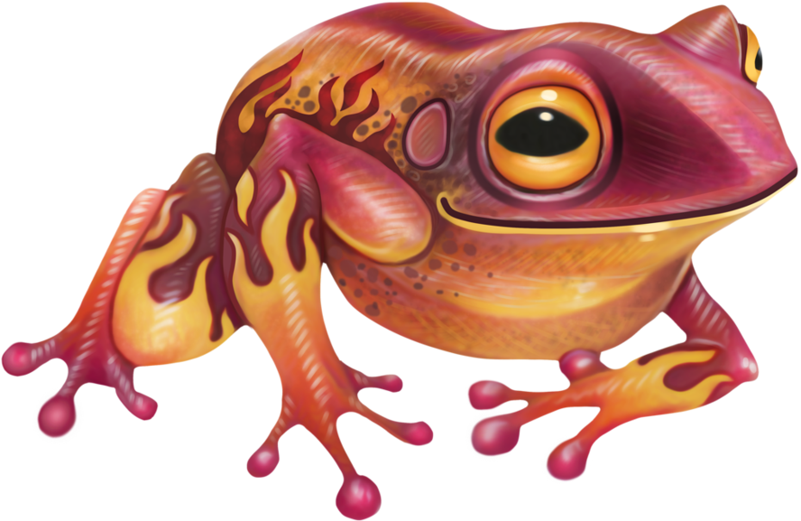 Frog Print By Slaaneshg - Frog (894x894)