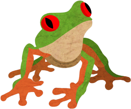 Red Eyed Tree Frog By Sambeawesome - Frog (600x600)