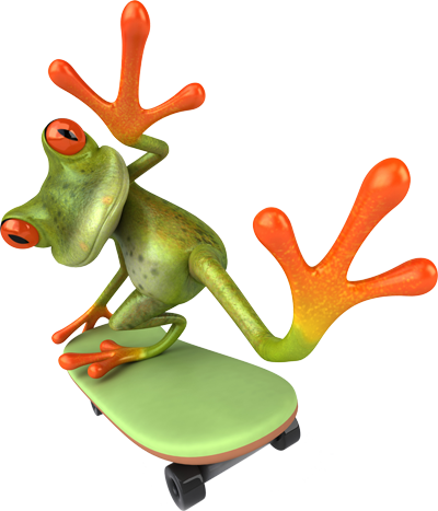 Image Of Frog On A Skateboard - Frog (400x467)