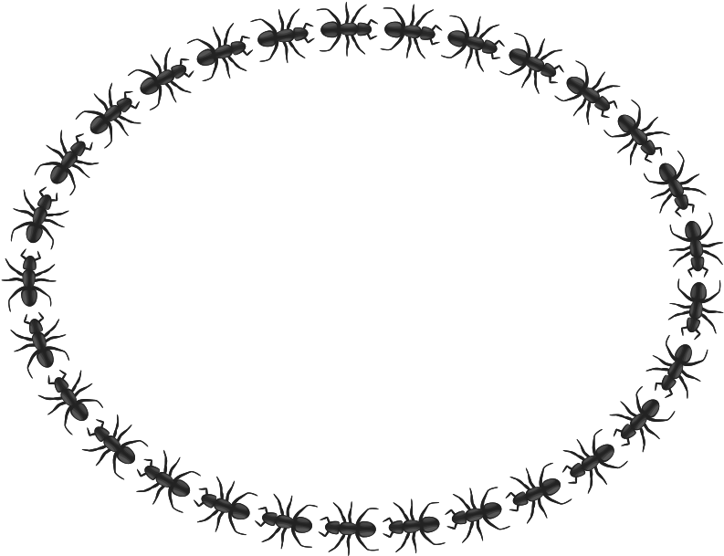 Art Free Ant Border Oval - Icon Border Circle Png (800x617)