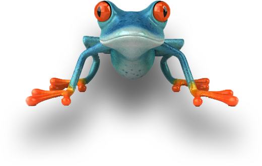 Let Blue Frog Media Manage Your Digital Promotion - Zen Frog (591x413)