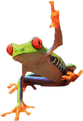 Frog Flipping Off Camera - Toad (873x662)