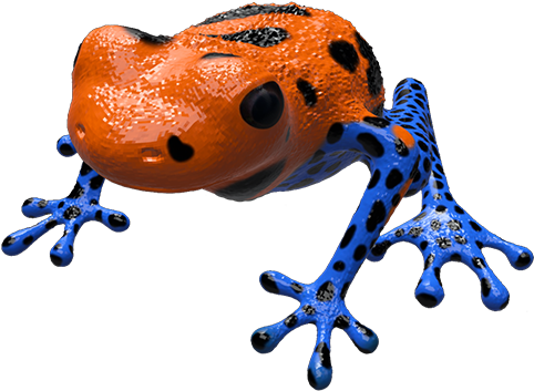 Poison Dart Frog - Animal Figure (512x512)