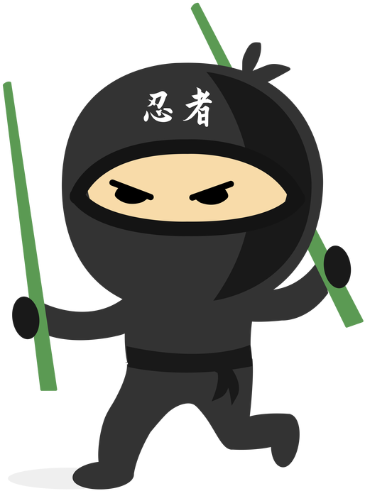 Ninja - Ninka Png (599x800)