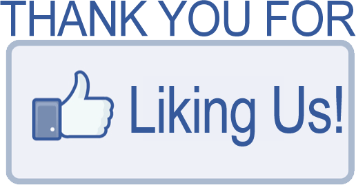 We Did It Thank You For "liking" Us And Helping Us - Thank You For Liking Our Facebook Page (516x269)