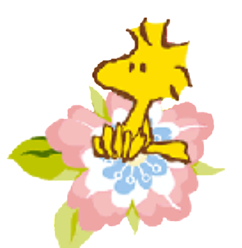 Woodstock, Peanuts Gang, Snoopy, Cartoons, Animated - 明け まして おめでとう ウッド ストック (480x492)