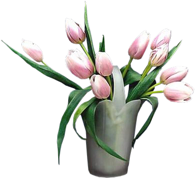 Virágok Png Formátumban - Tulips (426x376)