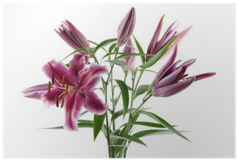 Cluster-lilies (400x400)