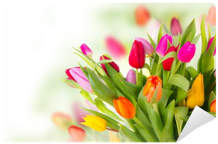 Paisajes Flores Y Mariposas (400x400)