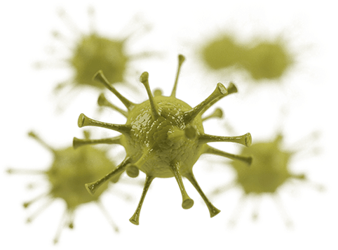 Immune Power - Virus (500x375)