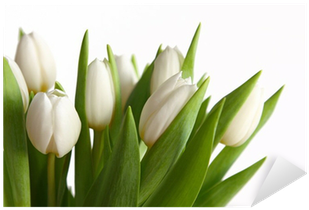 Vinilo Pixerstick Tulipanes Blancos Bouquet • Pixers® - Lady Tulip (400x400)