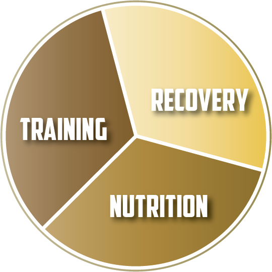 Training Pie Chart - Training Recovery Nutrition (540x540)