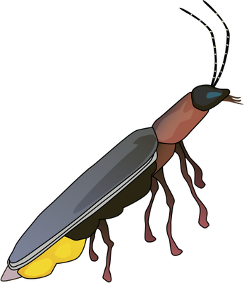 Vogels - Lightning Bug Drawing (346x400)