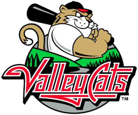 Tri-city Logo - Tri City Valleycats Logo (480x399)