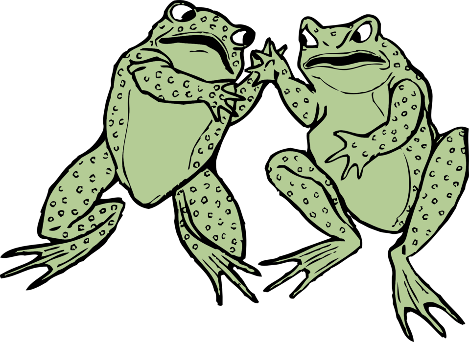 Two Frogs - Frog Clip Art (958x699)