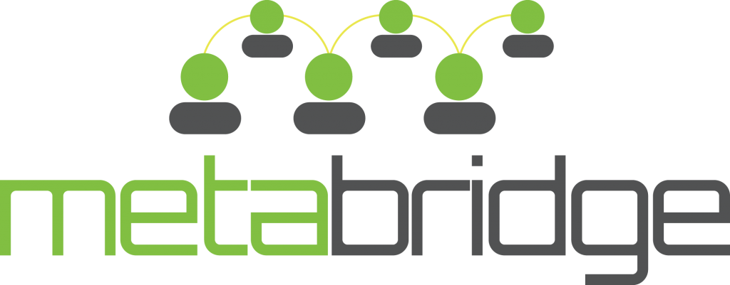 Metabridge - Metabridge (1024x401)