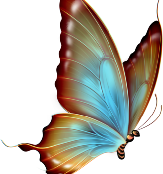 W - A - T - Ch - - We Are The Church Women's Retreat - Transparent Background Butterfly Png (350x350)