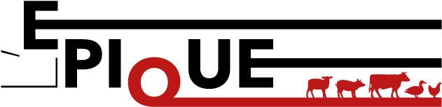 Foodtruck De Brochettes De Viande Bordeaux Brief - Foodtruck De Brochettes De Viande Bordeaux Brief (700x250)