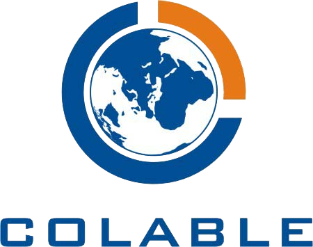 Colable Electronics Co - I'm With Her Wall Tapestry (450x355)