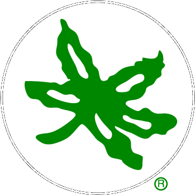 Unique Michigan State University Background Ohio State - Buckeye Leaf Helmet Stickers (397x397)