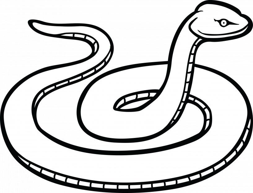 Snake Black And White Clip Art (817x624)