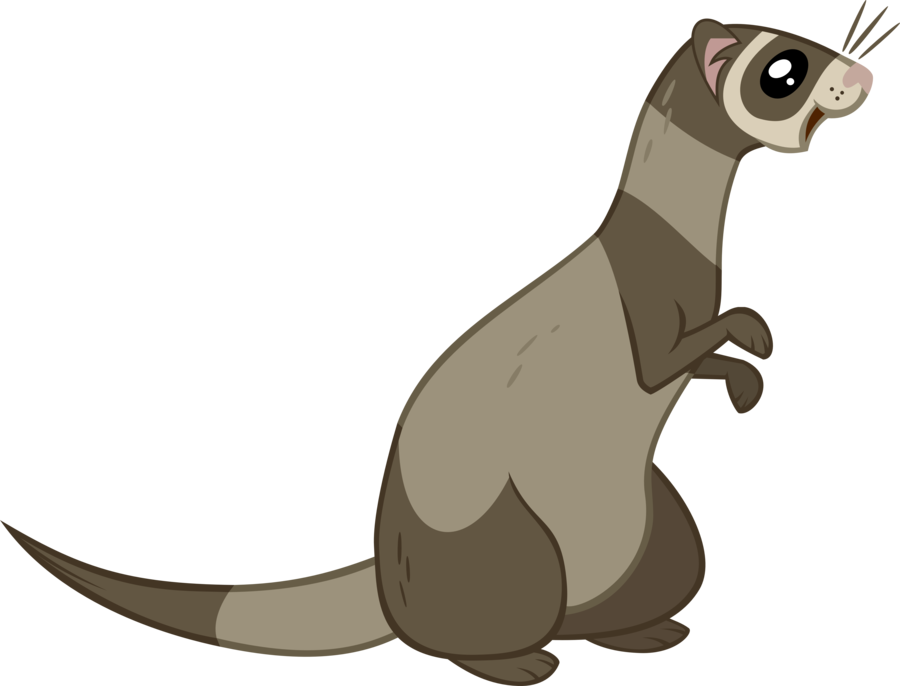 Ferret Vector By The-intelligentleman - Cartoon Black Footed Ferret (900x686)