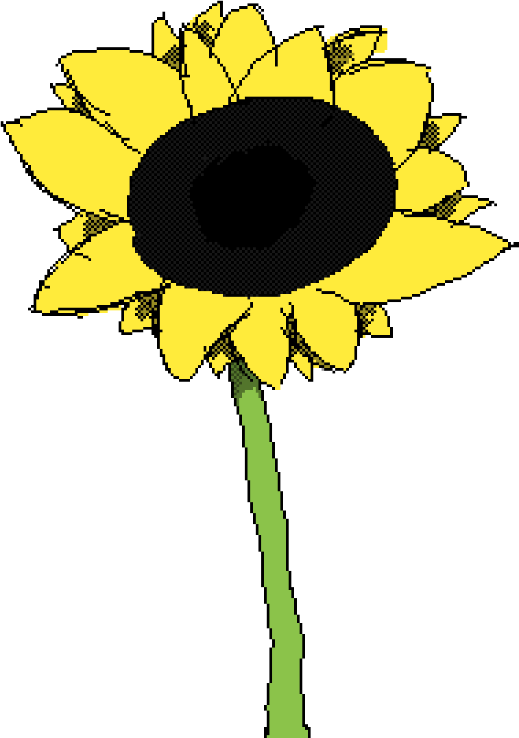 Sunflower - Sunflower (1200x1200)