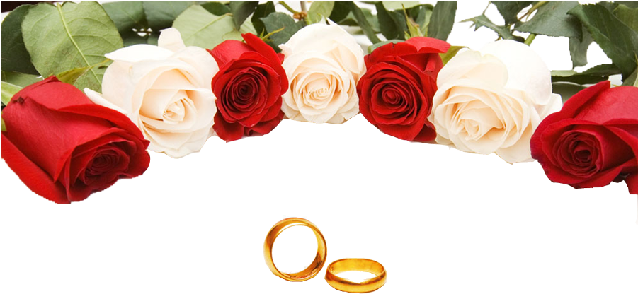 Wedding Ring Rose Stock Photography - Wedding Poster Design Templates Hd (900x599)