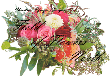 Field Of Flowers North - Flower (425x295)