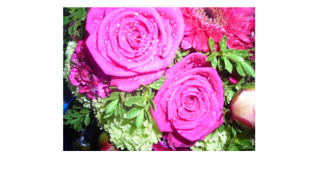 From Seasonal Hand-tied Bouquets And Arrangement To - Garden Roses (730x456)