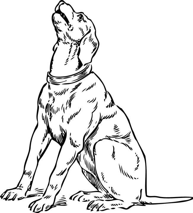 Hound Clipart Black And White - Toots And The Maytals (651x720)