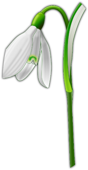 Aldborough, Harrogate, Ripon - Aldborough (463x785)