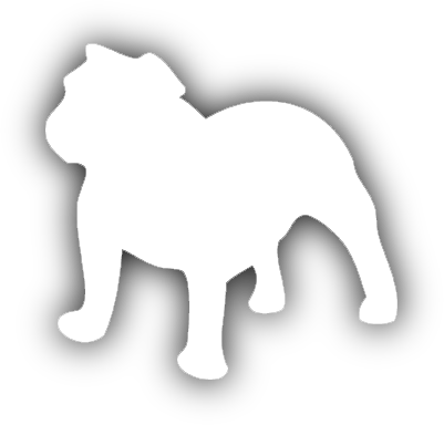 Freedom Intermediate School Bulldog Logo - Freedom Intermediate School (401x384)