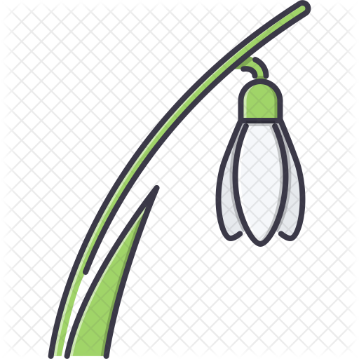 Snowdrop Icon - Snowdrop (512x512)