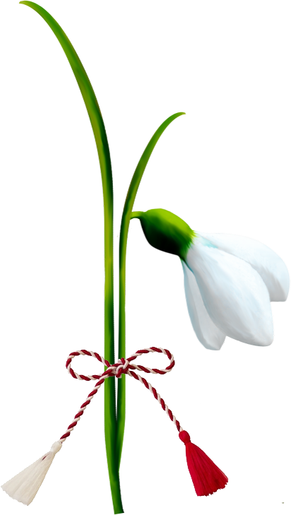 Legenda Mărţişorului - Martisor Ghiocel Png (412x729)