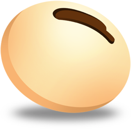 Soybean Seed Legume - Soybean Seed Icon (512x512)